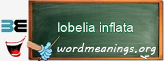 WordMeaning blackboard for lobelia inflata